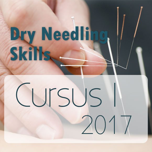 Dryneedlingcursus 1-2017, Utrecht