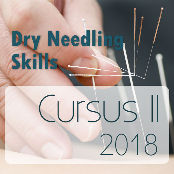 dryneedling cursus, 2018, Utrecht