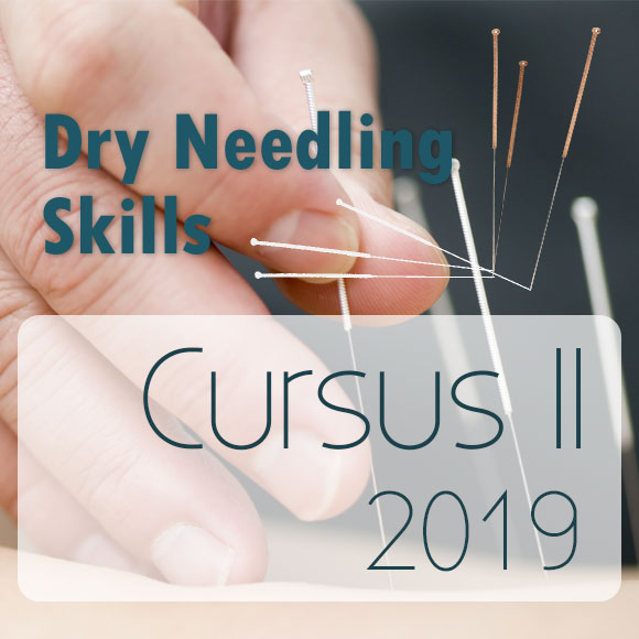 dryneedling cursus 2-2019 utrecht