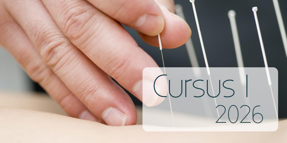 dryneedling cursus
